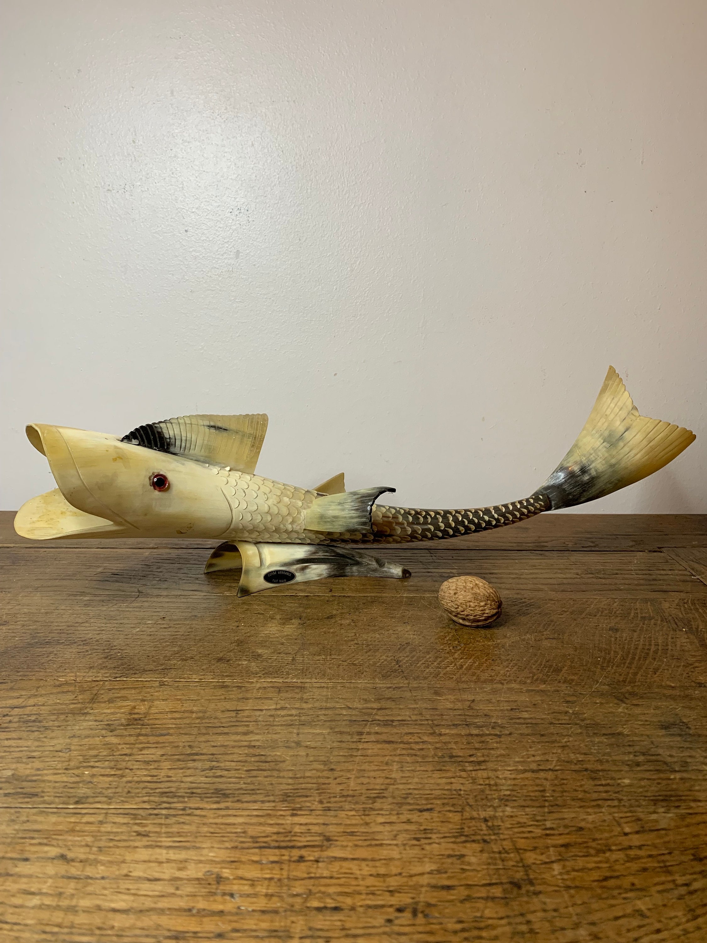 Vintage Lot 2 Poisson corne Veritable de bovin | eBay