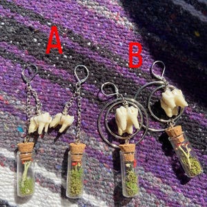 May include: Unusual earrings. One pair has small teeth hanging from silver chains, the other has teeth attached to silver hoops. Each earring set includes a small glass vial filled with moss and tiny red accents, sealed with a cork.