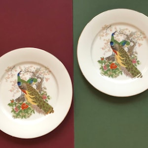Dramatic Vintage Peacock Plates, Pair