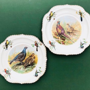 Vintage Bird Plates, Set of Two