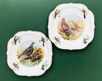 assiettes d'oiseaux vintage, ensemble de deux