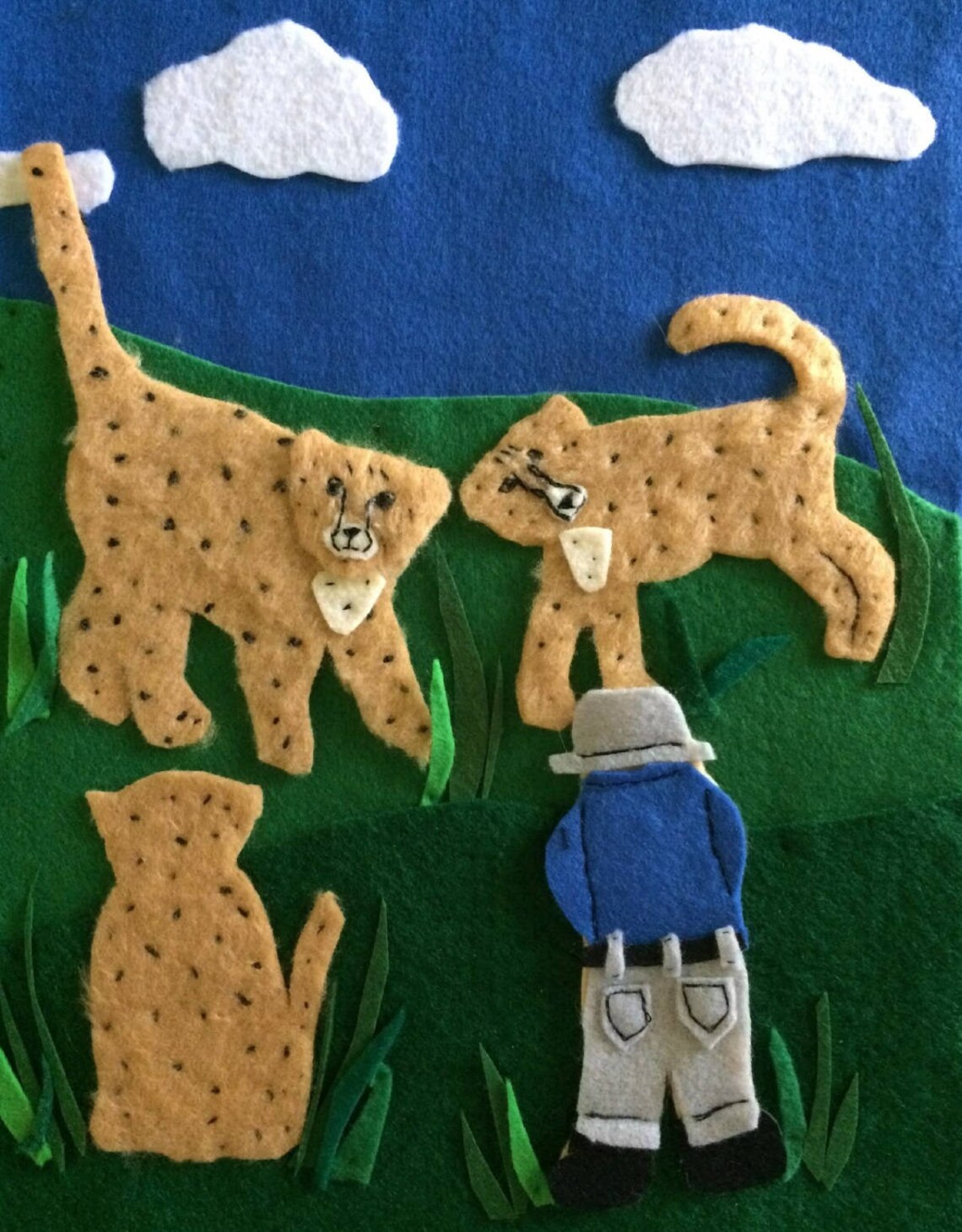 Children's Book About Cheetahs Including Storybook and | Etsy