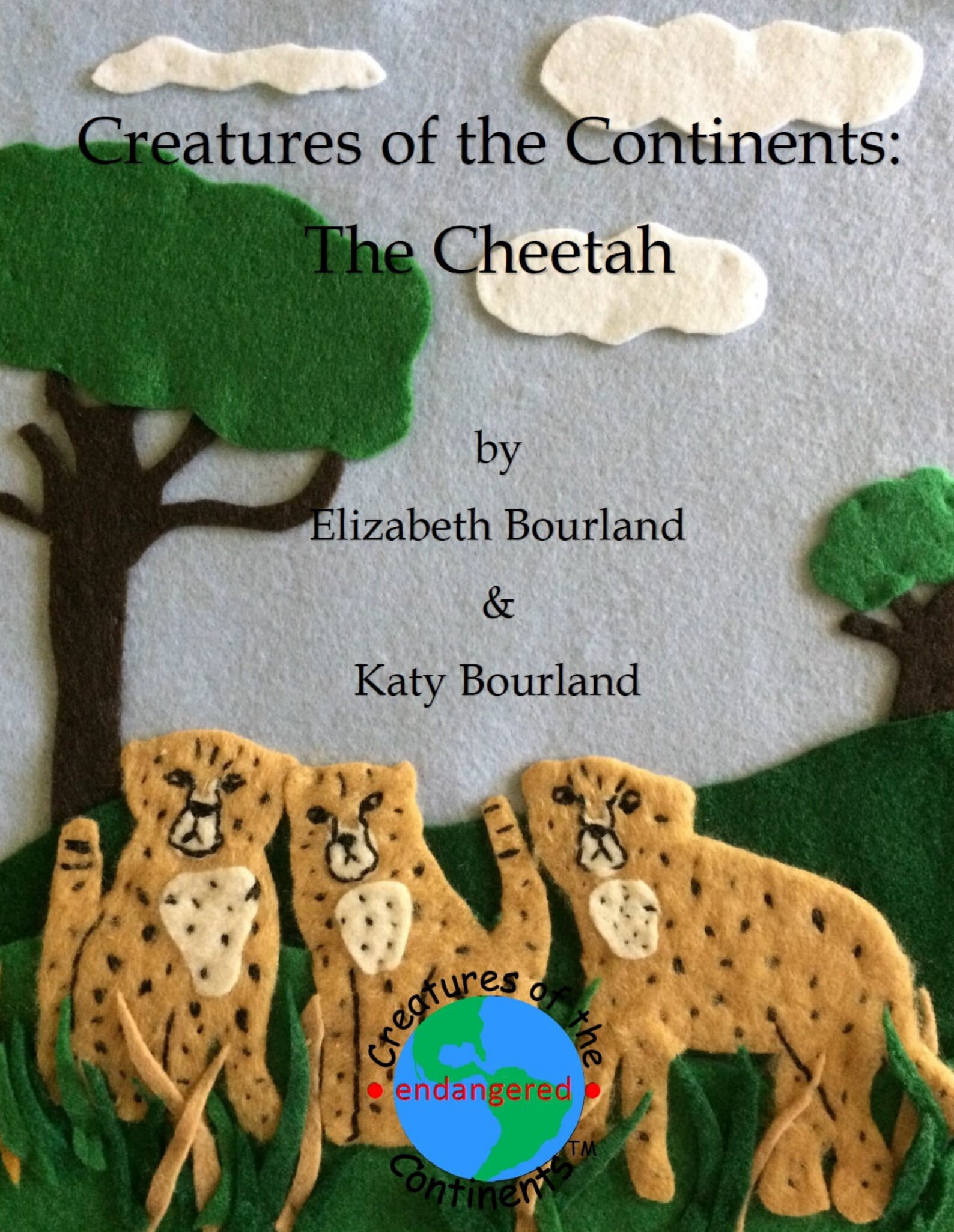 Children's Book About Cheetahs Including Storybook and | Etsy