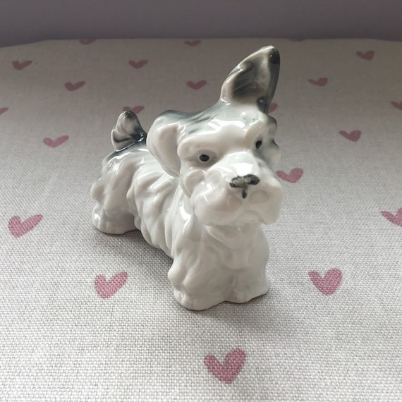 grey and white terrier