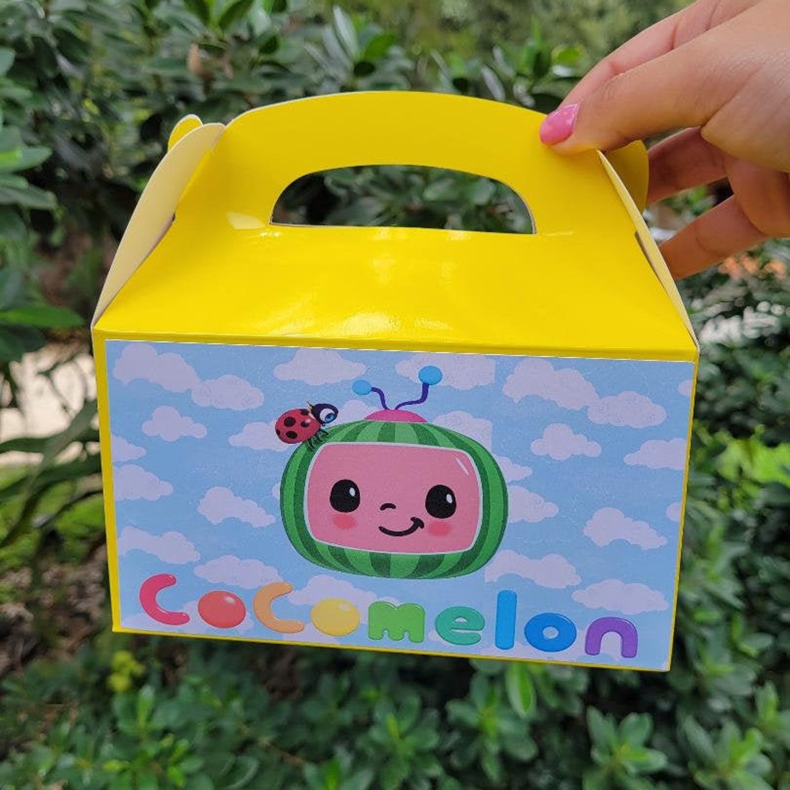 cocomelon toy lunch box