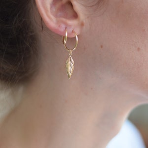 May include: Gold hoop earrings with a small gold leaf charm dangling from one earring.