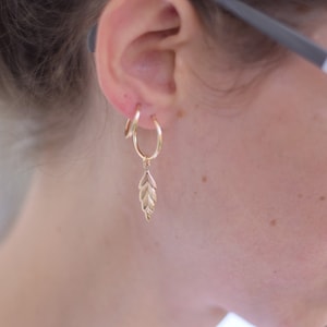 May include: Gold hoop earrings with a small gold leaf charm dangling from one earring.