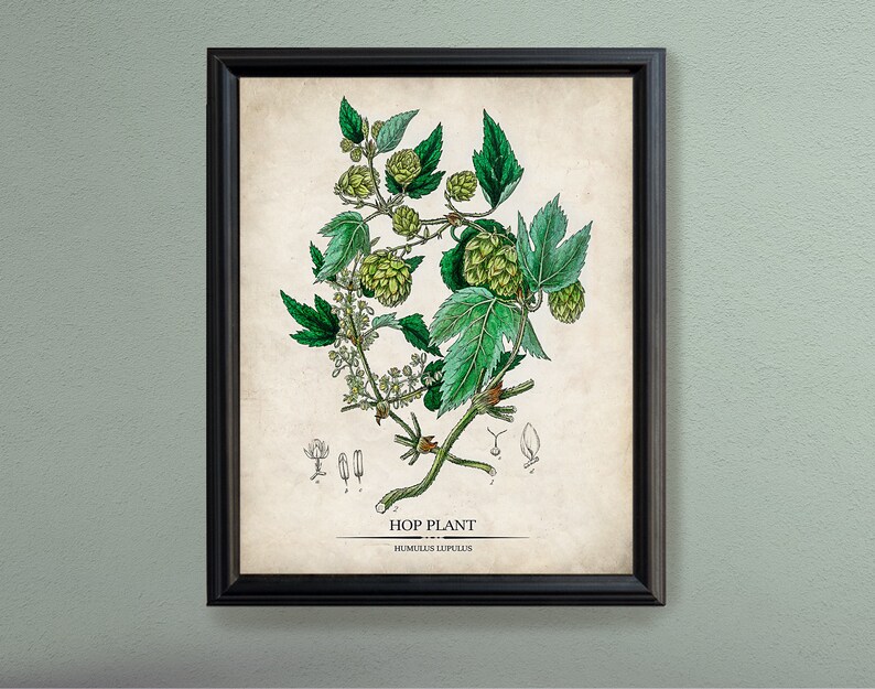 Beer Brewing Gift Vintage Beer Patent Prints & Hops Etsy