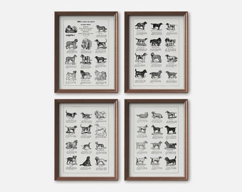 Dog Breeds Print Set of 4 | Dog Lover Wall Art | Reproduction Art Prints | Vintage Dog Illustrations