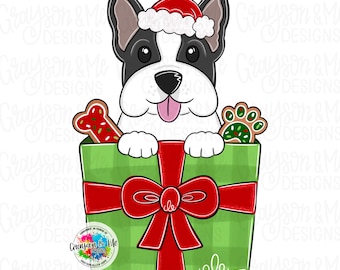 May include: A digital illustration of a black and white dog wearing a Santa hat, peeking out of a green gift box with a red bow. The box contains a bone-shaped cookie and a paw-shaped cookie. The dog has its tongue sticking out.
