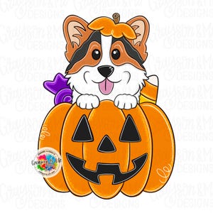 May include: A cartoon illustration of a corgi dog wearing a pumpkin hat, peeking over a carved jack-o'-lantern. The dog has brown, black, and white fur, with a purple and white candy. The pumpkin is orange with a black face.