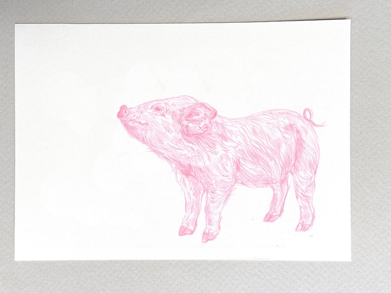May include: A pink piglet illustration with a curly tail, drawn in a detailed line style.