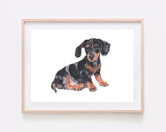 Dapple Sausage dog Print, wall Art