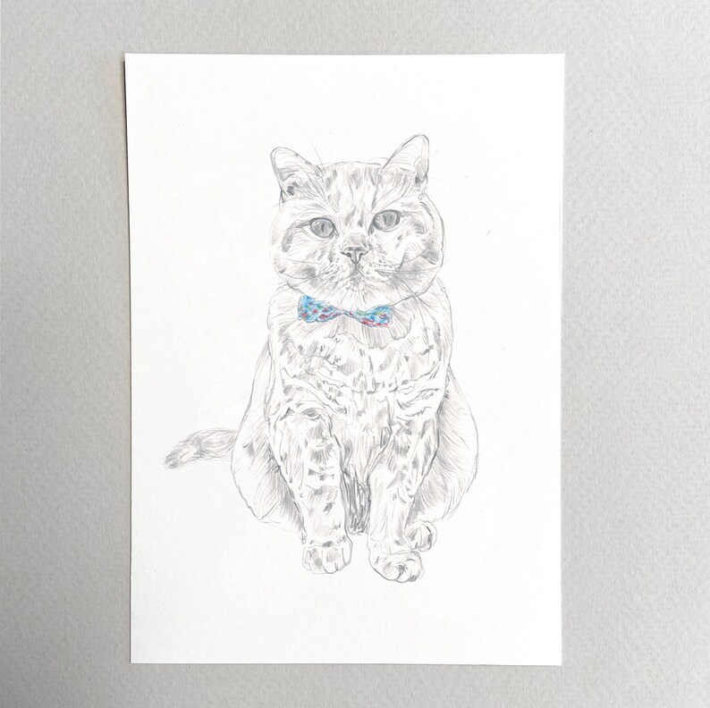 May include: A black and white pencil drawing of a cat wearing a blue and white bow tie. The cat is sitting with its front paws together and its back paws slightly spread apart. The cat is looking directly at the viewer.