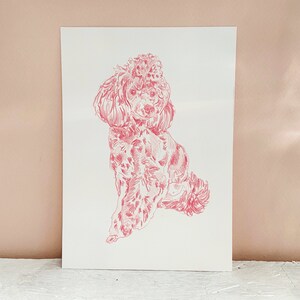 May include: A pink line drawing of a poodle sitting on a white background.