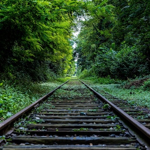 Vías de ferrocarril, Verde, Naturaleza, Sereno, Impresión fotográfica, 2.5x3.5, 4x6, 4x4, 5x7, 8x8, 8x10, 12x12, 11x14, 5x15, 8x24, 16x20, 20x30