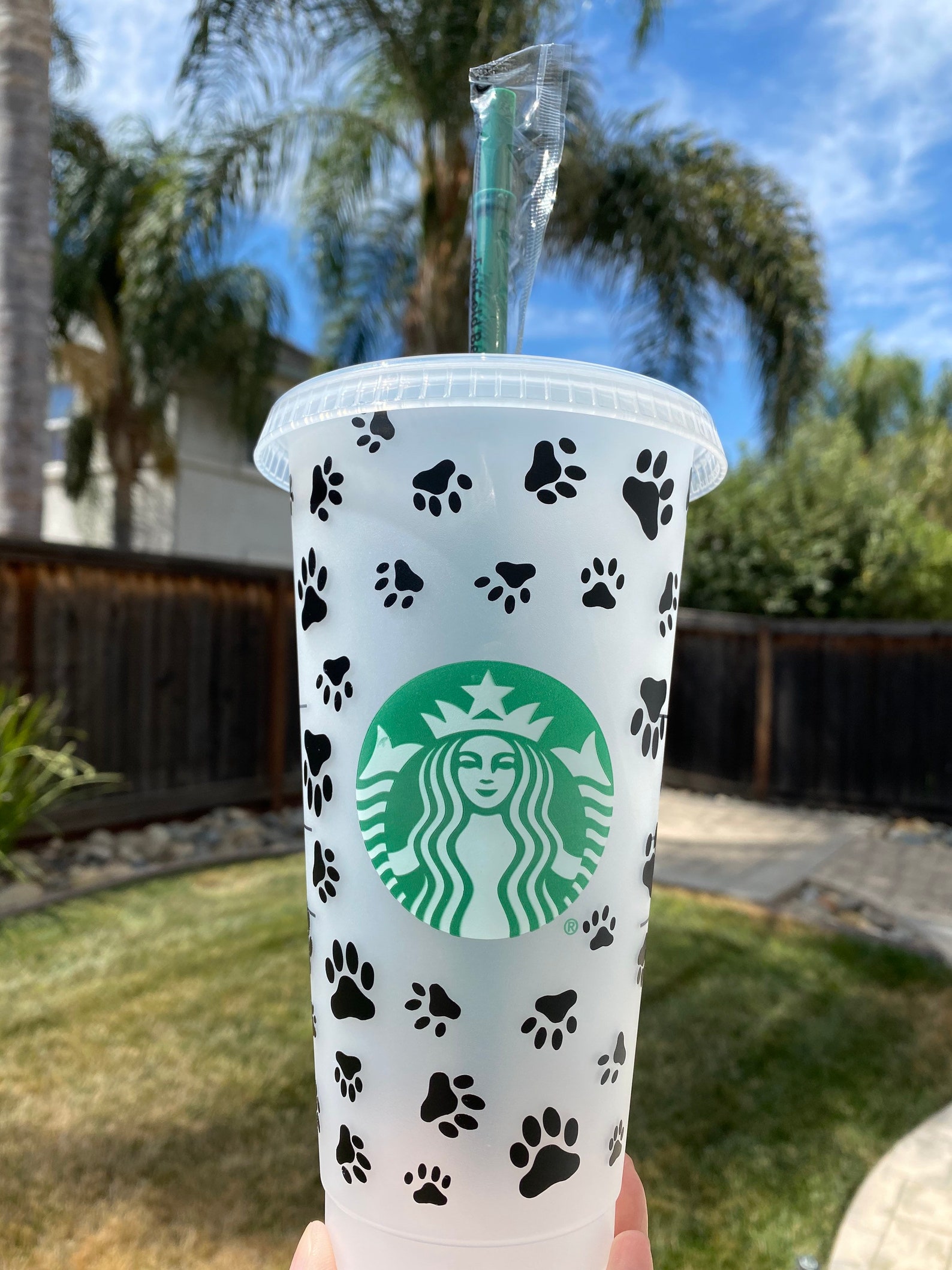starbucks paw glass