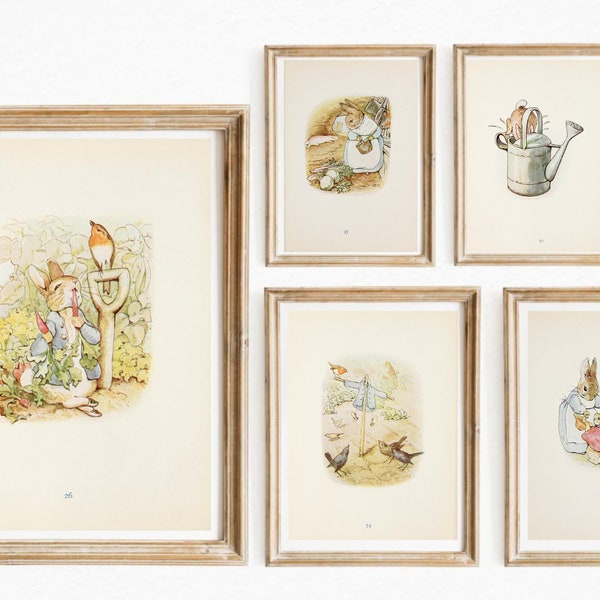 Set di 13 illustrazioni tratte da La storia di Peter Rabbit di Beatrix Potter - Download istantaneo