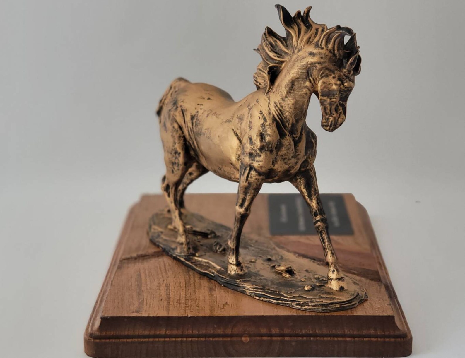 NAVY LDO MUSTANG / Officer / Gifts for Him / Gifts for Her Etsy