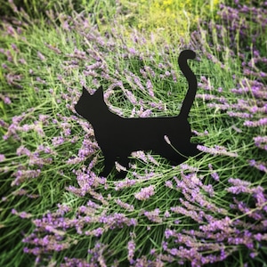 Metalen diertje Kat Lump
