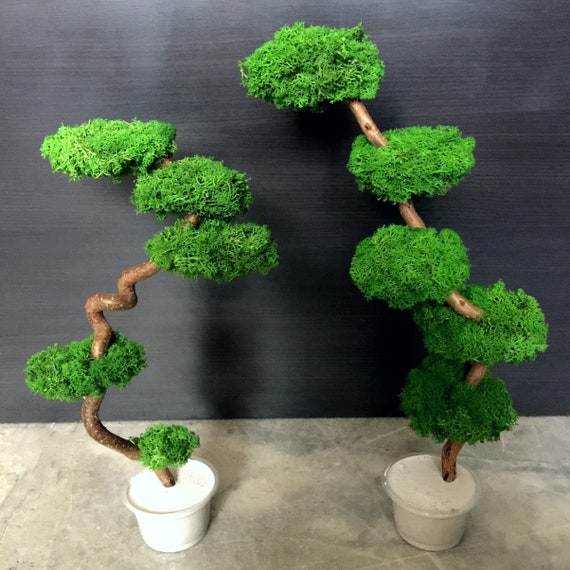 Bonsaï artificiel fait à la main pour décoration zen, vraie branche avec  mousse verte printanière et base en béton, sensation naturelle et énergie  positive -  France