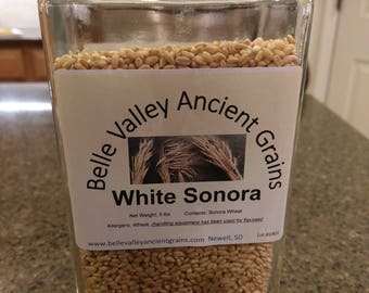 White Sonora Wheat Berries, 3 lb, Decorative Glass Jar