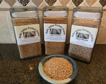 Artisan Grains - Ancient Grain, Non-GMO, 3 lb Net Wt, in Decorative Glass Jars