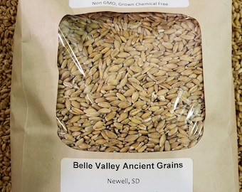 Einkorn Wheat Berries 2.5 lb, Certified Organic