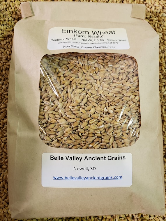 Einkorn Wheat Berries 2.5 lb Etsy