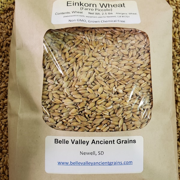 Einkorn Wheat Berries 2.5 lb, Certified Organic