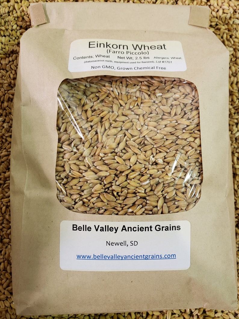Einkorn Wheat Berries 2.5 lb Etsy