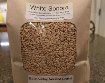 White Sonora Wheat Berries, 2.5 lb, Certified Organic