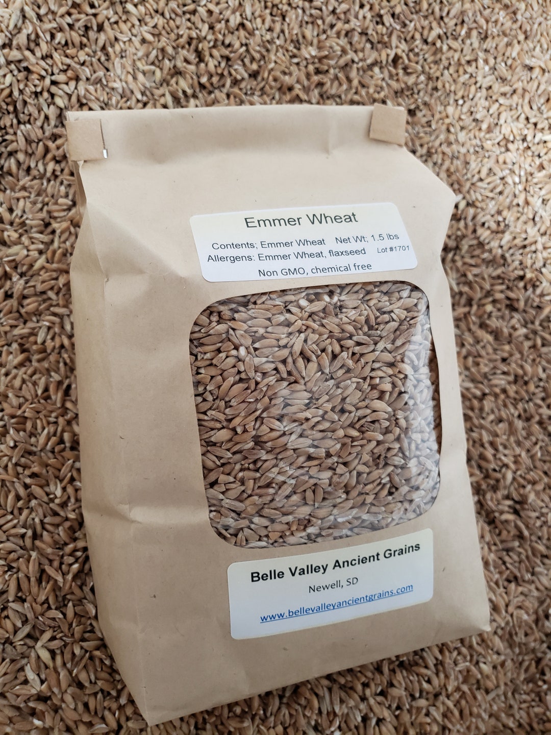 Emmer Wheat Farro Medio Ancient Grain, 2.5 Lb Etsy