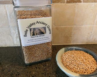 Red Fife Wheat Berries, 3 lb, Decorative Glass Jar