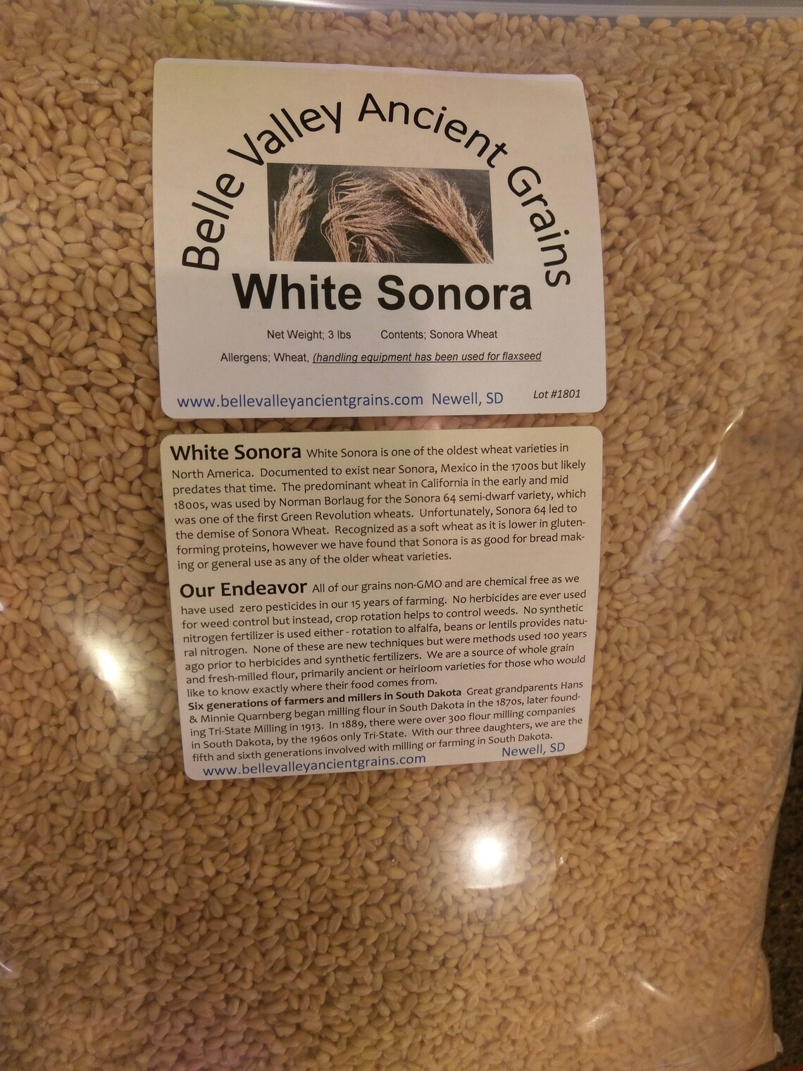 White Sonora Wheat Berries 15 Lb Etsy