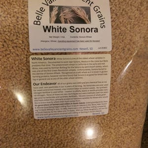 White Sonora Wheat Berries, 15 lb