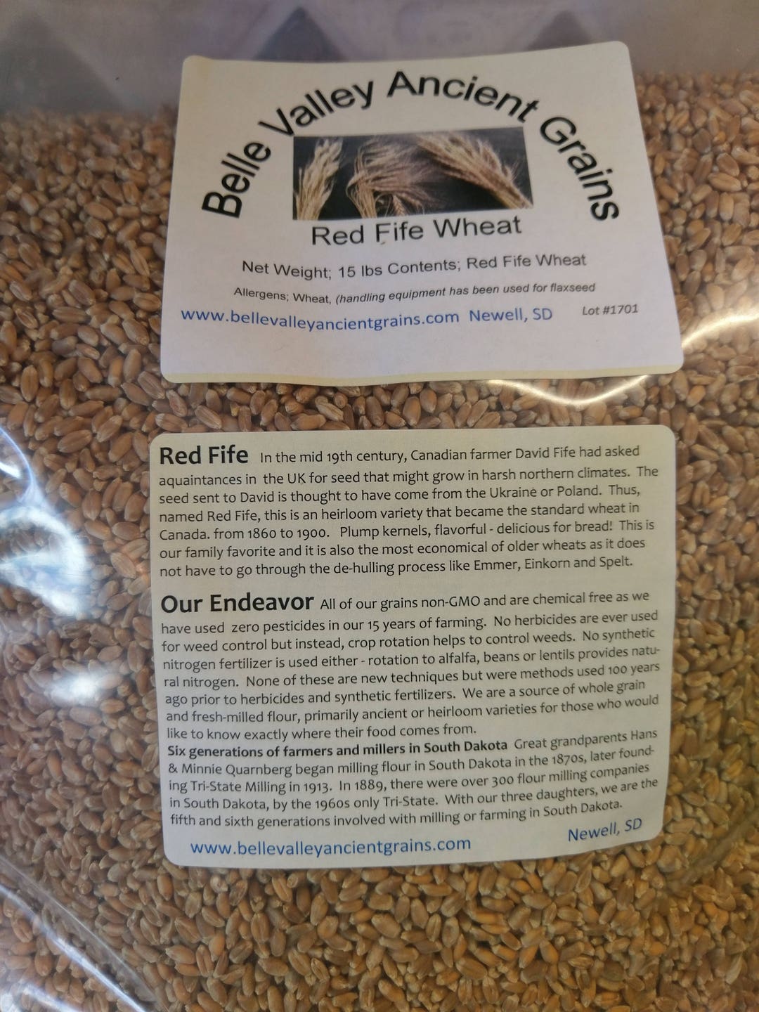 Red Fife Wheat Berries, 15 Lb Etsy