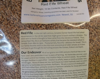 Könnte beinhalten: Nahaufnahme einer Tüte mit Red Fife-Weizen von Belle Valley Ancient Grains. Die Tüte ist mit der Website und dem Standort des Unternehmens gekennzeichnet: Newell, SD. Der Text auf der Tüte beschreibt die Geschichte von Red Fife-Weizen und die landwirtschaftlichen Praktiken des Unternehmens, die chemiefrei und gentechnikfrei sind.