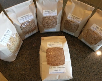 Artisan Grain Sampler, Organic