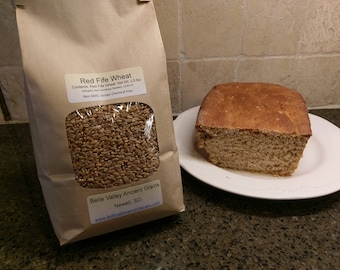 Red Fife Wheat Berries, 2.5 lb, Certified Organic