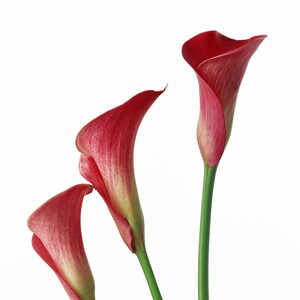 Red Calla Lily Trio Cross Stitch Pattern
