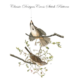 Audubon’s Plate 25 Song Sparrow Cross Stitch Pattern
