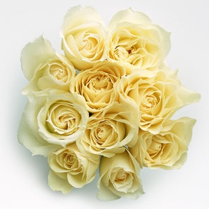 Yellow Rose Bouquet Cross Stitch Pattern