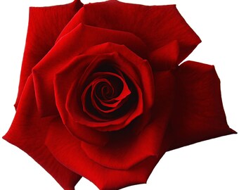 Rote Rosen Kreuzstich Anleitung