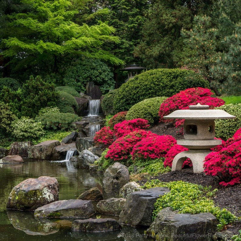In The Shofuso Japanese Garden Photograph Matted To 12 X 12 Etsy