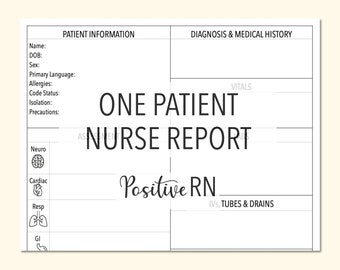 1 Patient - Minimalist Nurse Brain/Report Sheet - One Patient