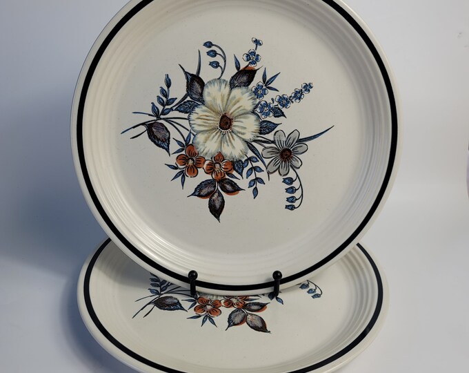 TWO Town & Country Blue Ridge Dinner Plates White With Blue Flowers Etsy