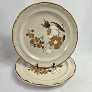 TWO Hearthside Autumn Fair Salad Plates Baroque Line Brown & White Flowers