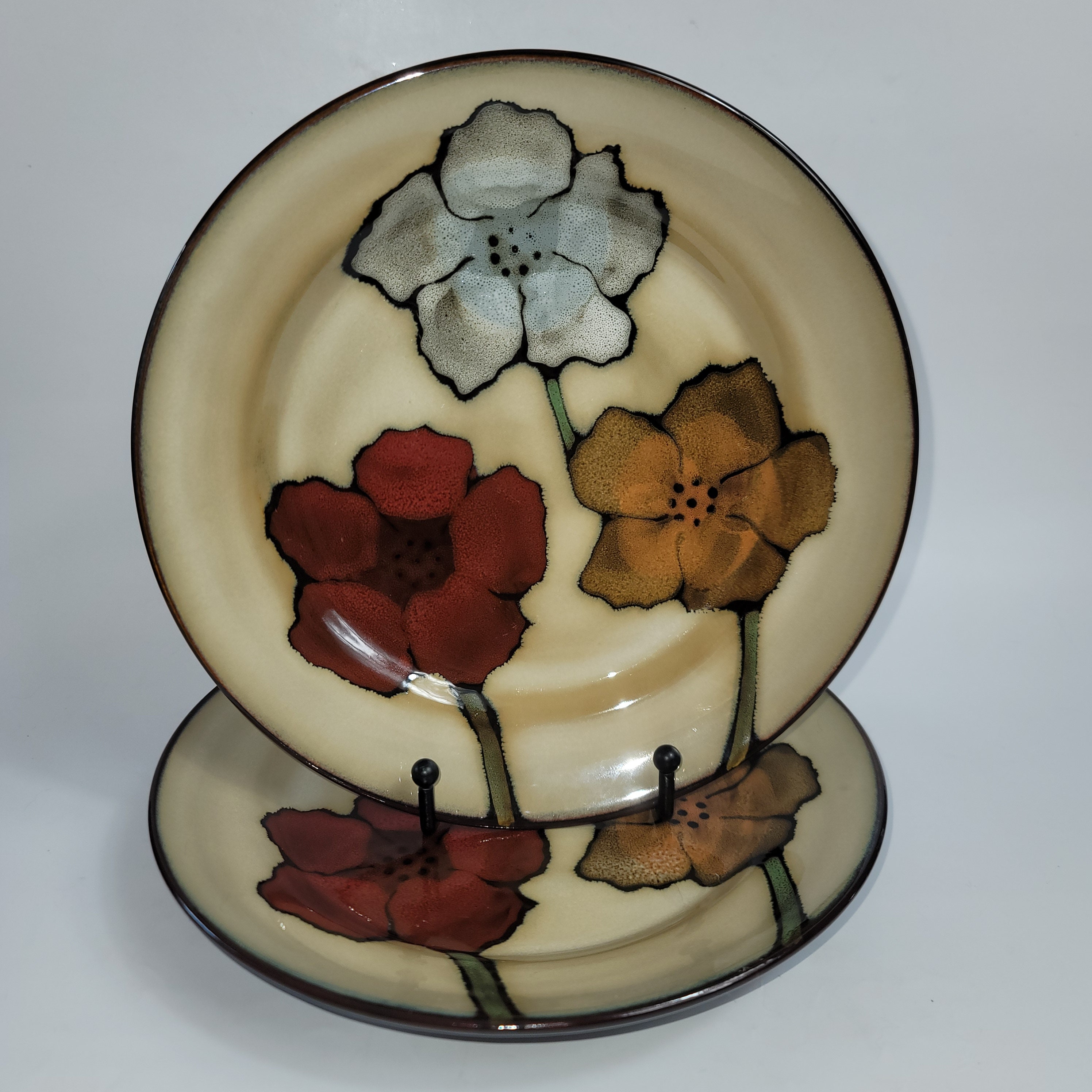 TWO Pfaltzgraff Painted Poppies Salad Plates Brown With Gray Red