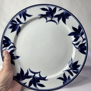 May include: White ceramic plate with a blue floral design around the rim. The plate has a dark blue border and a repeating pattern of stylized leaves. The plate is held by a hand.